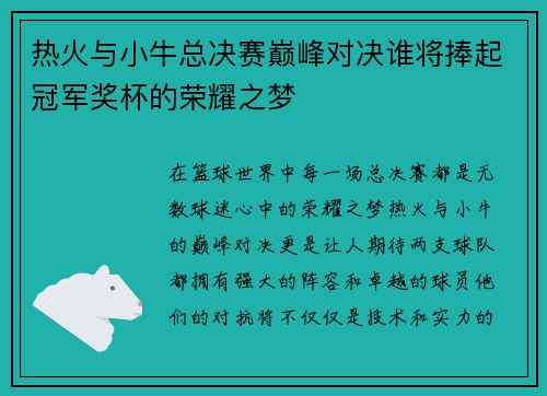 热火与小牛总决赛巅峰对决谁将捧起冠军奖杯的荣耀之梦