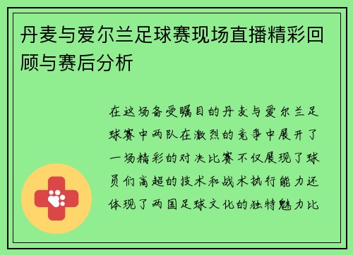 丹麦与爱尔兰足球赛现场直播精彩回顾与赛后分析