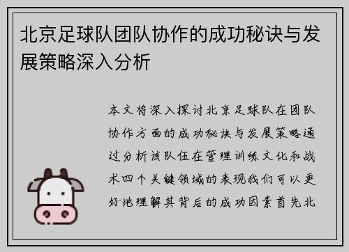 北京足球队团队协作的成功秘诀与发展策略深入分析